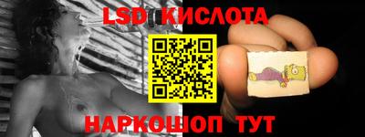 прущие грибы Можга