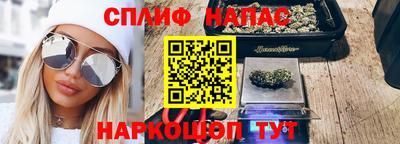 прущие грибы Можга